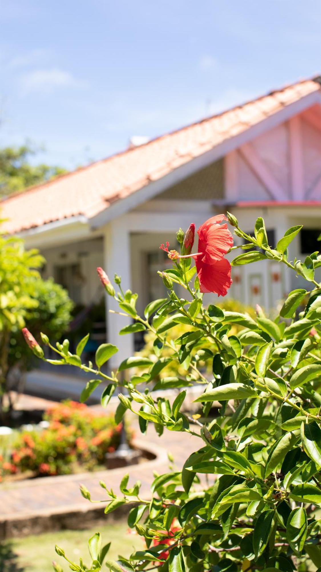Hosteria Mar Y Sol Сан-Андрес Экстерьер фото